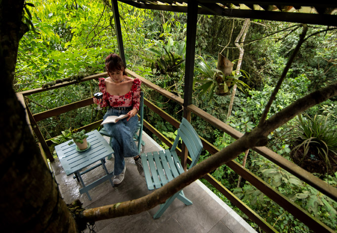 Balcón Casa en el árbol Piranga Roja